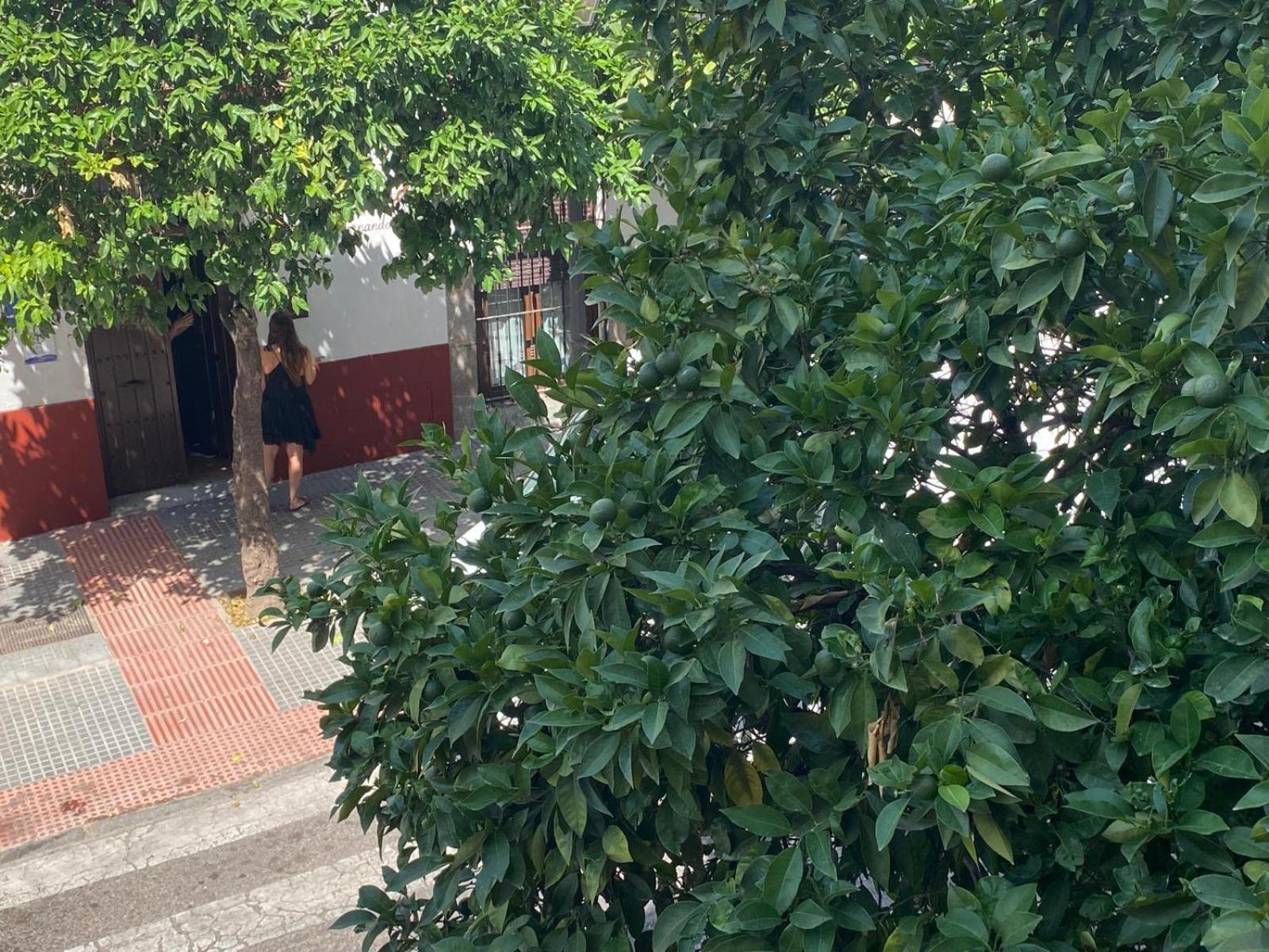 La Escalerita Apartment Córdoba Exterior foto